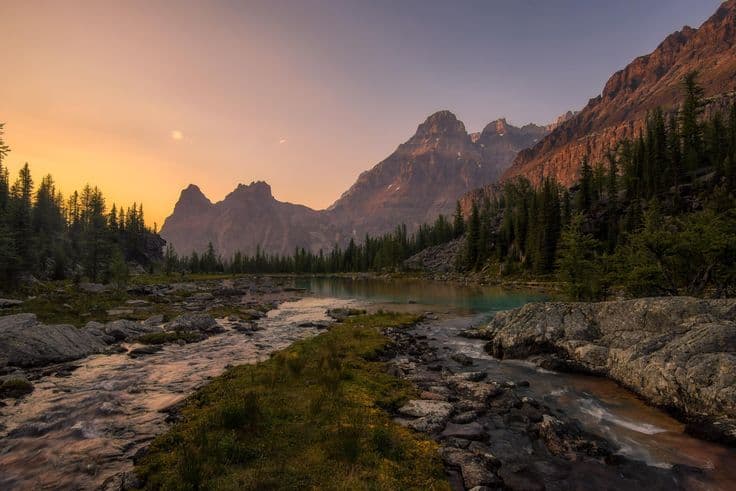 Travel with Confidence